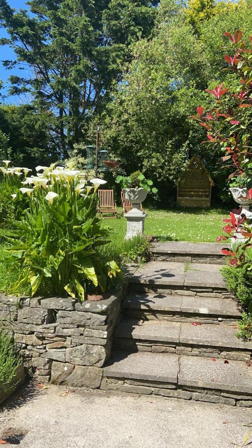 Sycamore Lodge Kilkee Zewnętrze zdjęcie